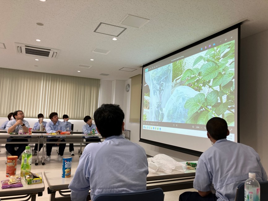 家庭菜園1